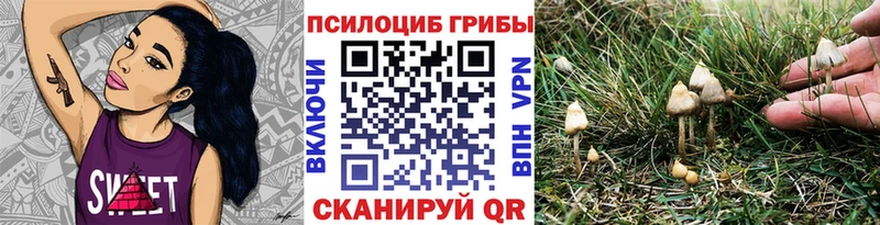 Галлюциногенные грибы Magic Shrooms  где продают наркотики  Киреевск 